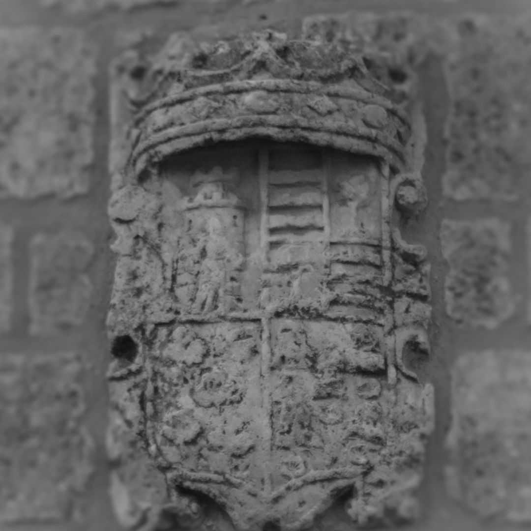 Fotografía de la galería de imágenes con id: 1162